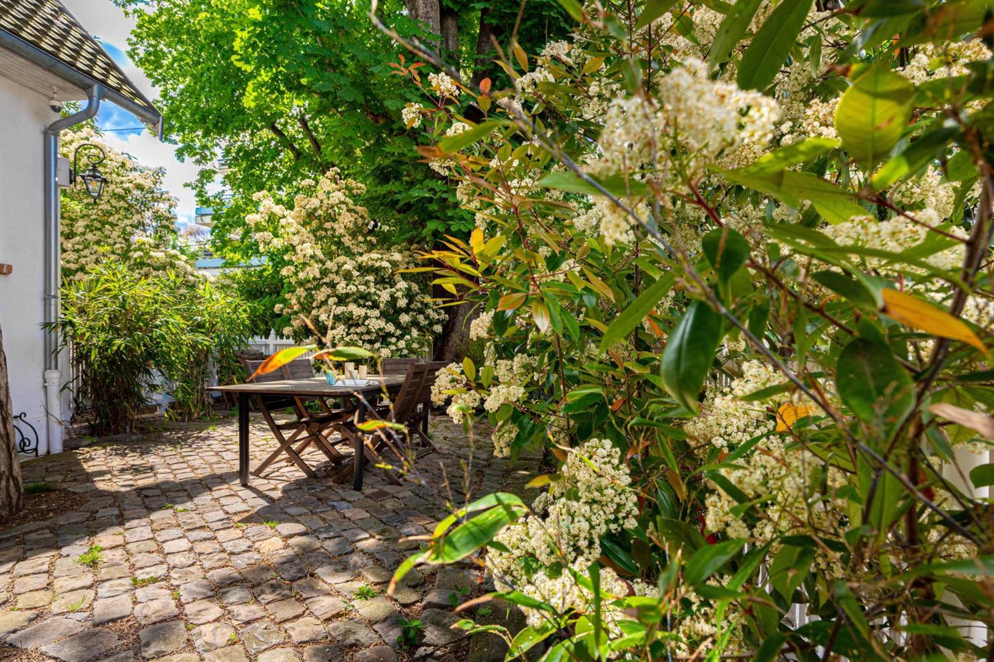 Grand & Classy Apartment With Private Garden, Villa Des Ammonites 뫼동 외부 사진